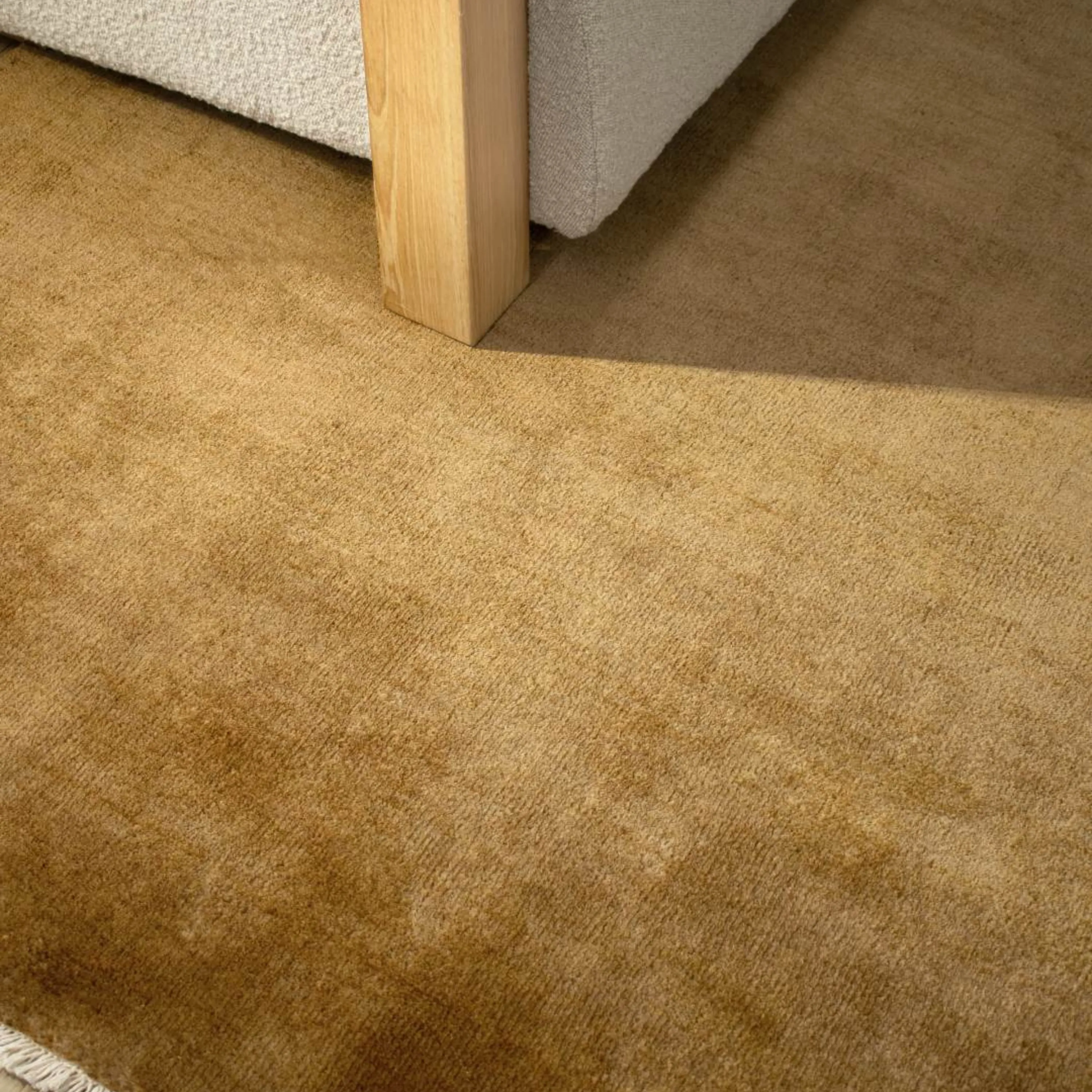 Adore Rug - Honey 250cm x 350cm