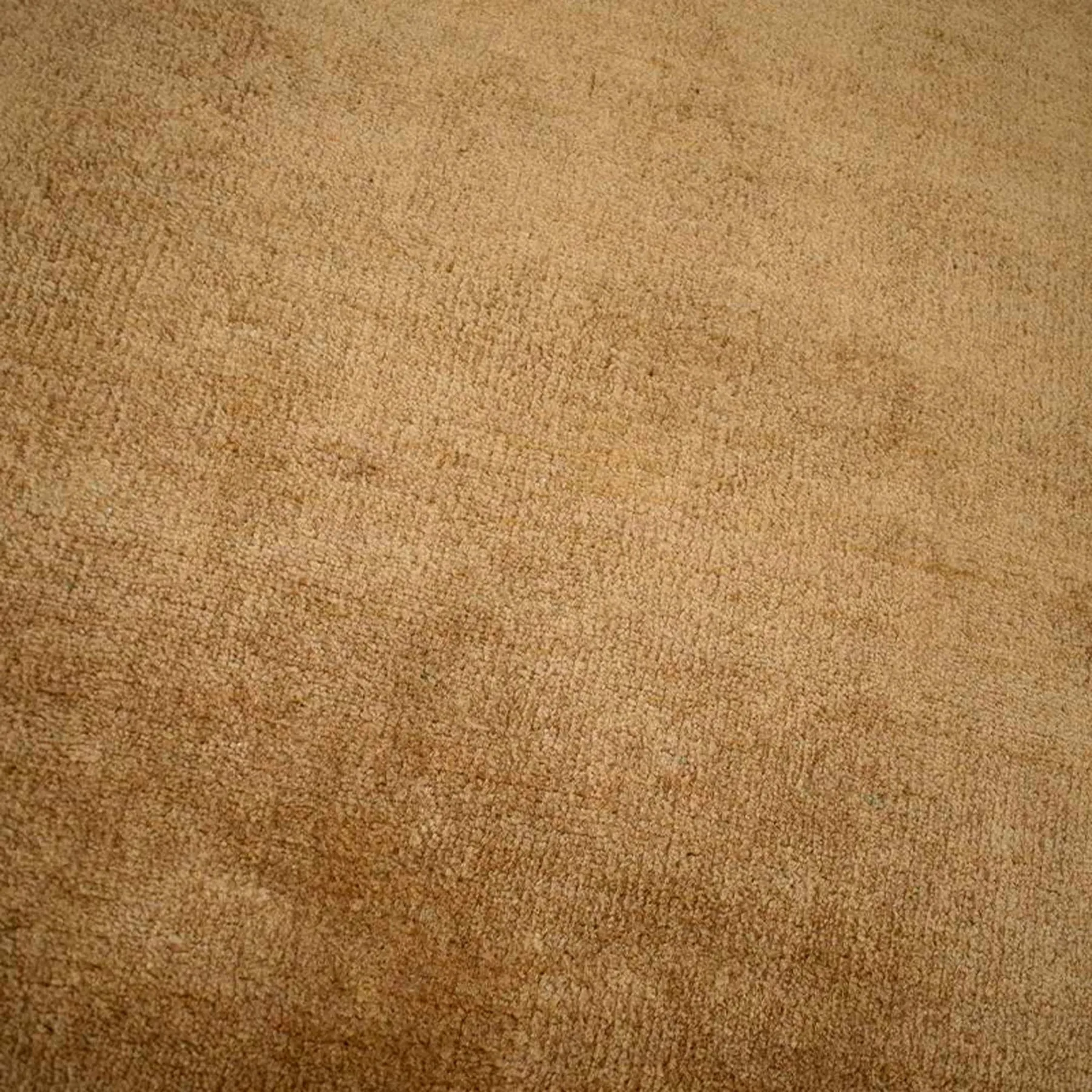 Adore Rug - Honey 250cm x 350cm
