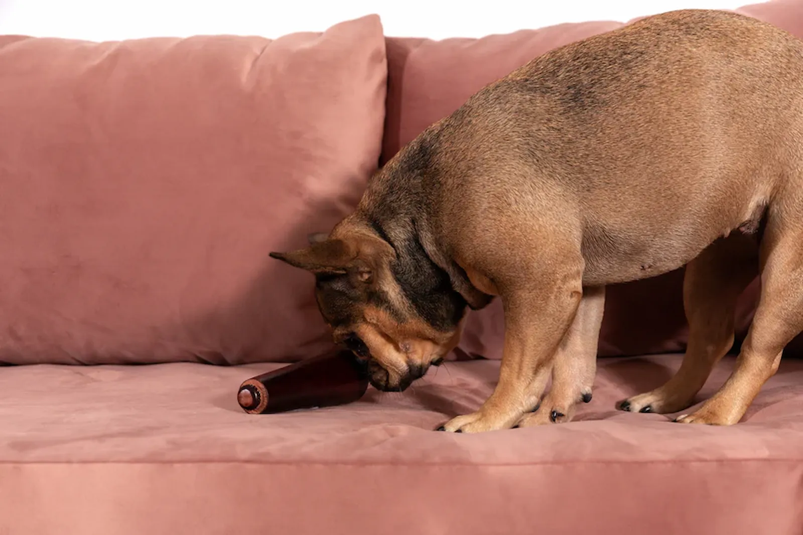 Furniture Legs