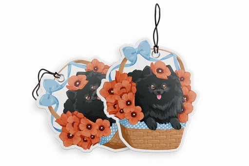 Toto Air Freshener